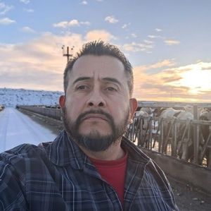 Meet your Posher, Samuel